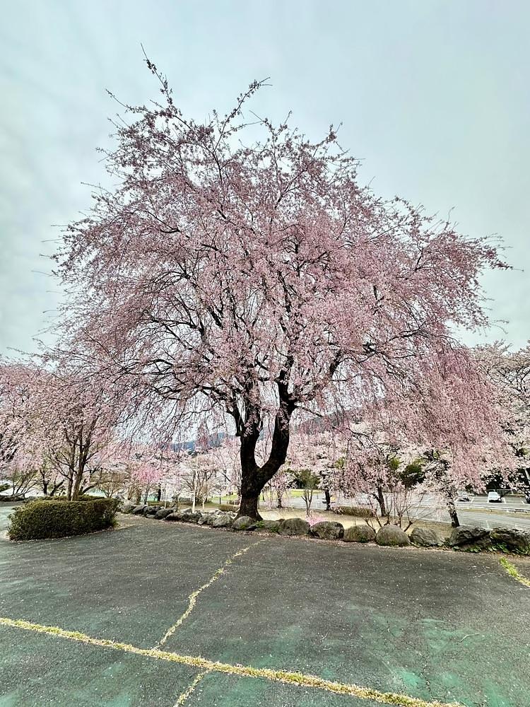からっ風②さんが投稿した童謡ふるさと館に関する口コミの画像