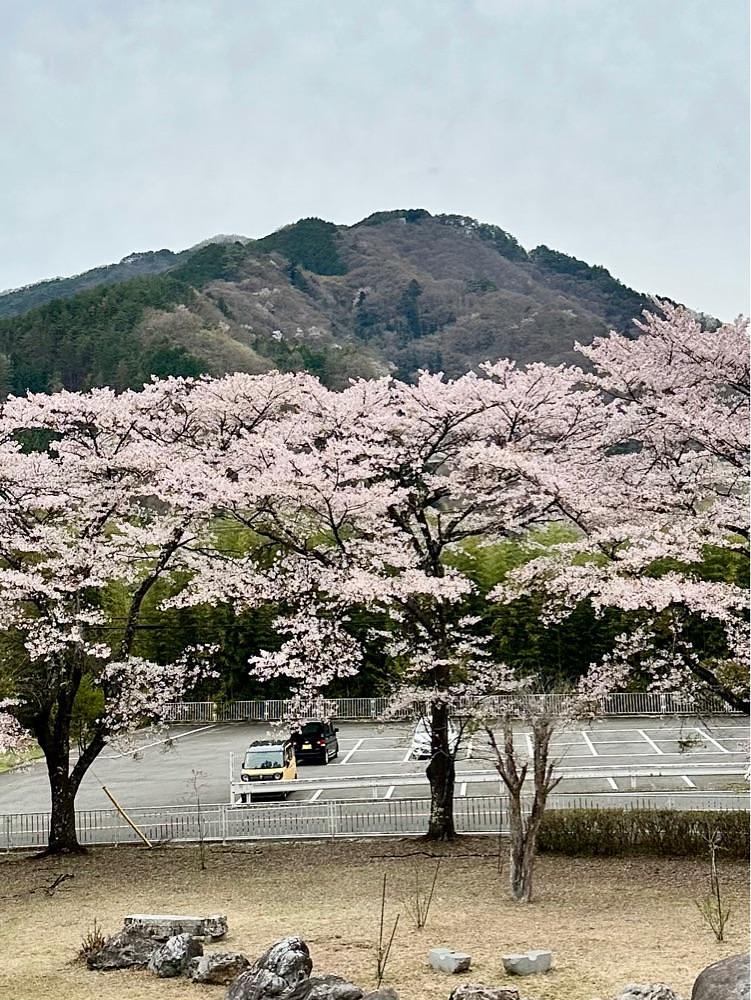 からっ風②さんが投稿した童謡ふるさと館に関する口コミの画像