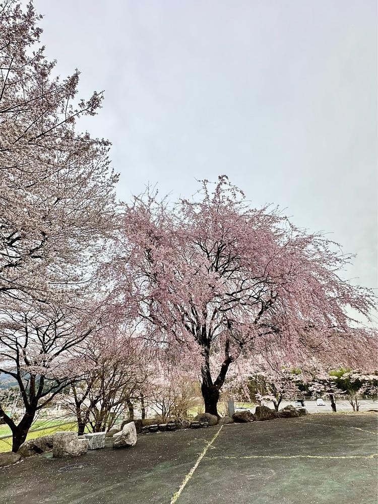 からっ風②さんが投稿した童謡ふるさと館に関する口コミの画像