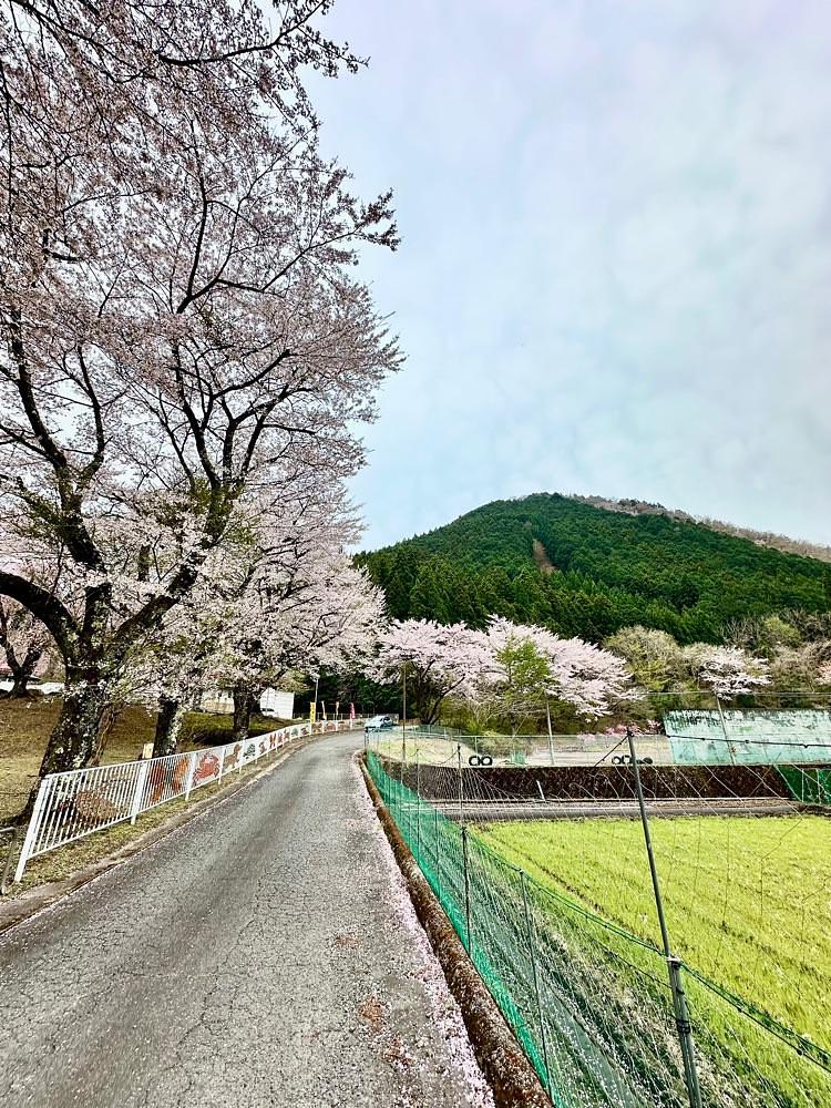からっ風②さんが投稿した童謡ふるさと館に関する口コミの画像