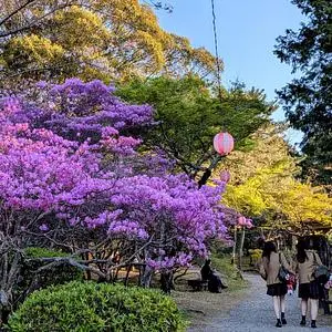 津偕楽公園