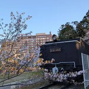 津偕楽公園