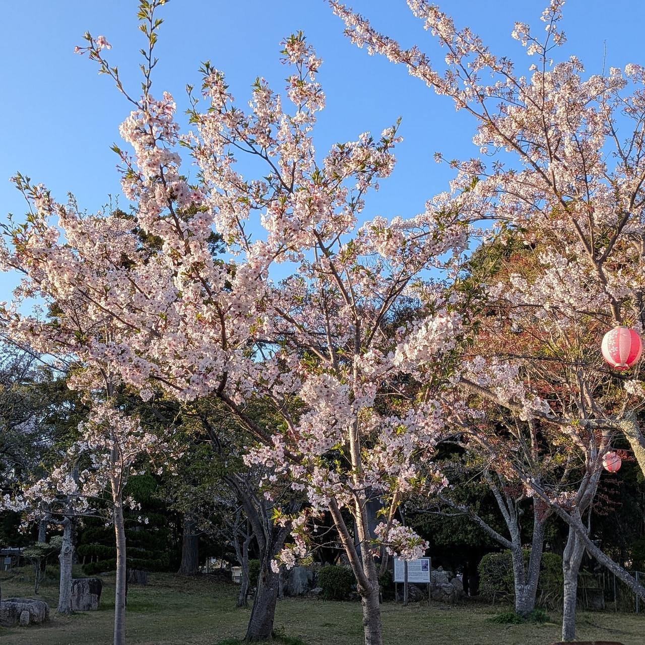 ぬっくさんが投稿した津偕楽公園に関する口コミの画像