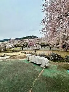 草木ダム