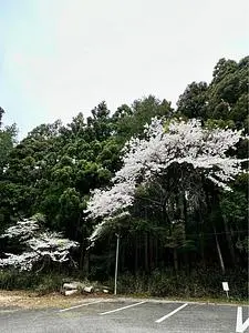 赤城神社（三夜沢）