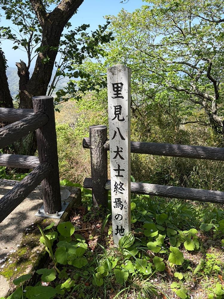 powerful_gift_4f3aさんが投稿した富山（千葉県南房総市）に関する口コミの画像