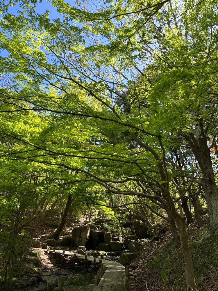 ぱっつんさんが投稿した清水船越堤公園に関する口コミの画像