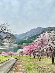 道の駅 富弘美術館
