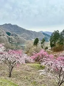 道の駅 富弘美術館