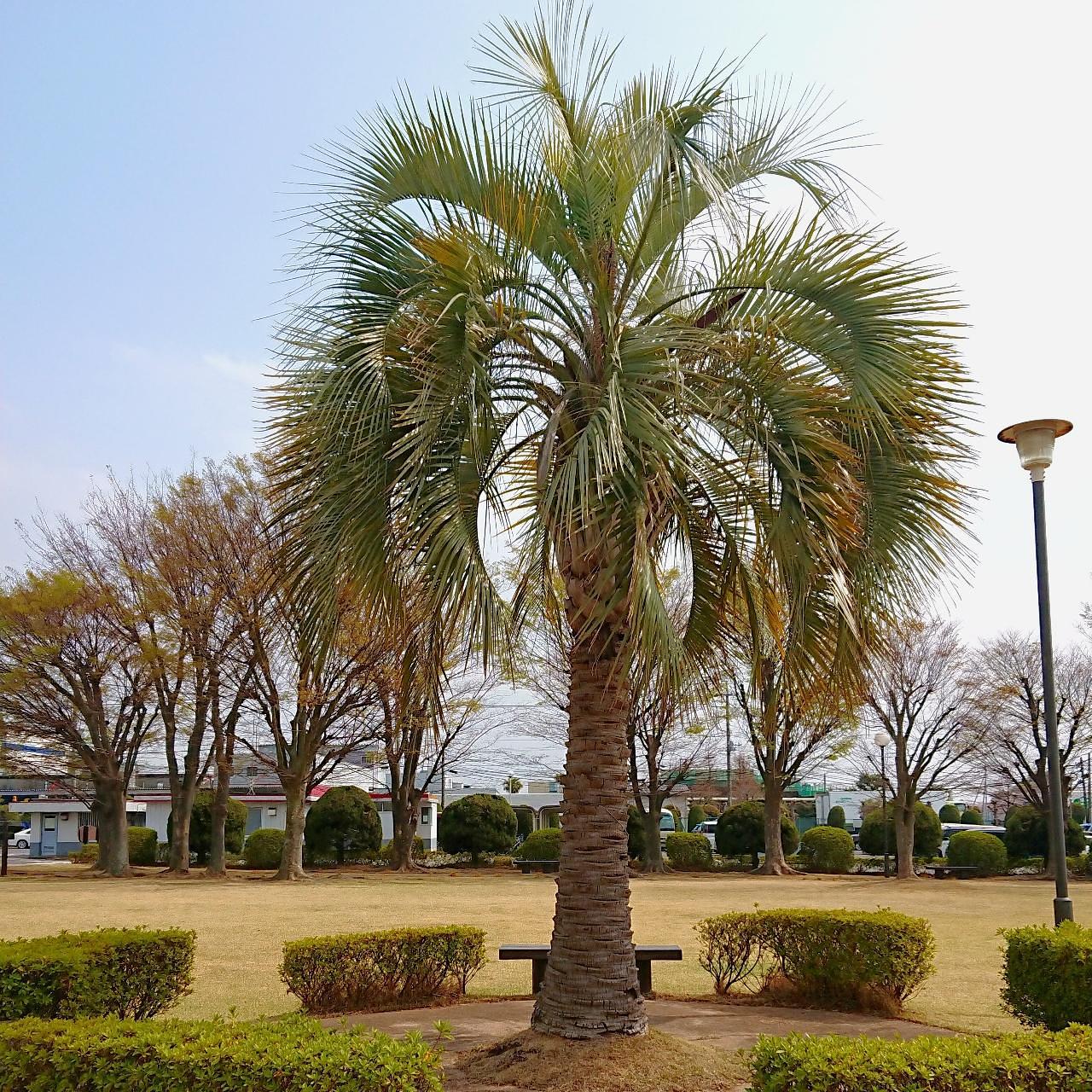 ℍ𝕚𝕤𝕒𝕞𝕒𝕣𝕦-𝕔𝕙𝕒𝕟さんが投稿したキユーピー 五霞工場に関する口コミの画像