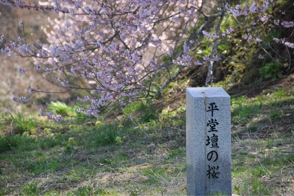 e301さんが投稿した三春町に関する口コミの画像