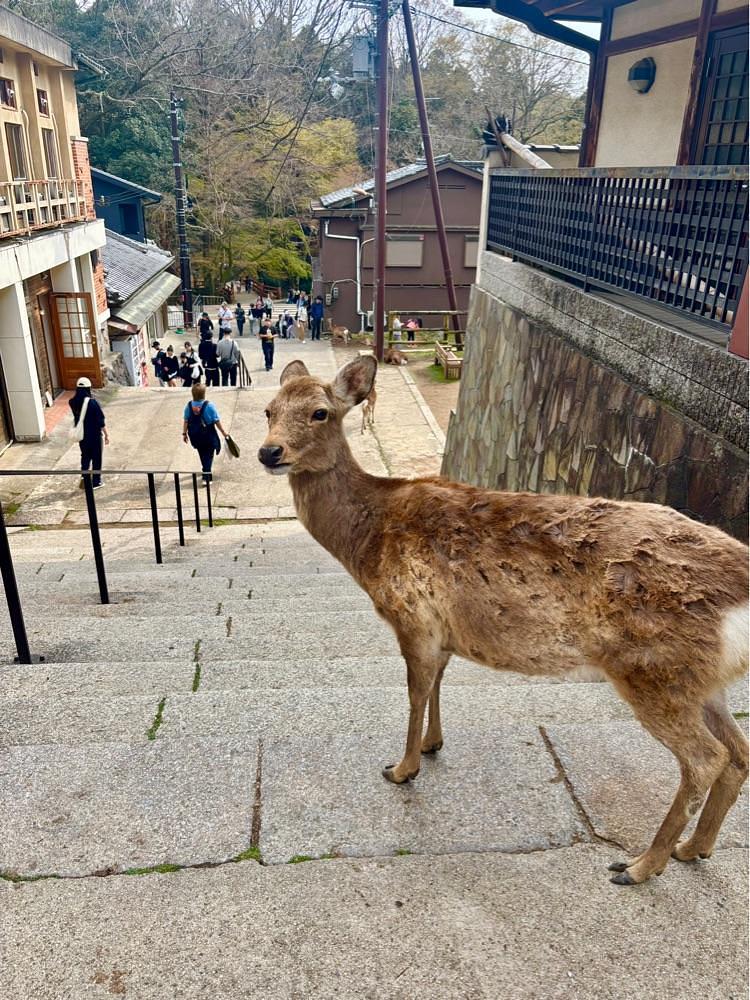 カランさんが投稿した水谷茶屋（みずやちゃや）に関する口コミの画像