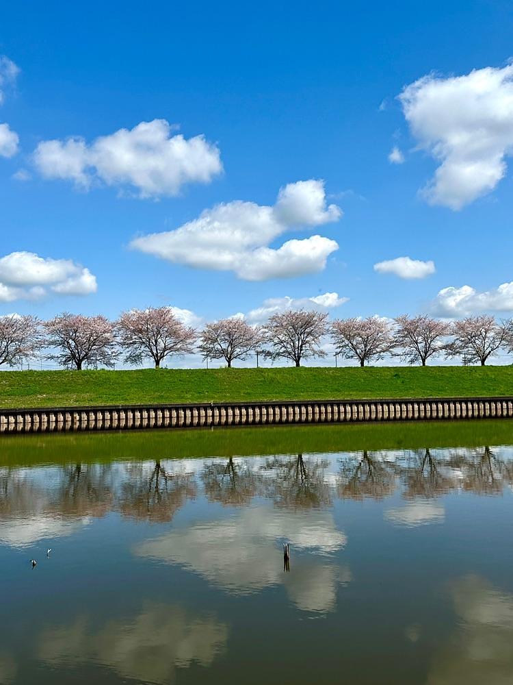 からっ風②さんが投稿した群馬の水郷に関する口コミの画像