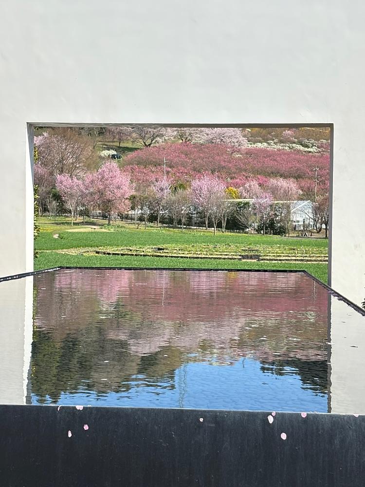 それなはとけさんが投稿した中之条ガーデンズに関する口コミの画像