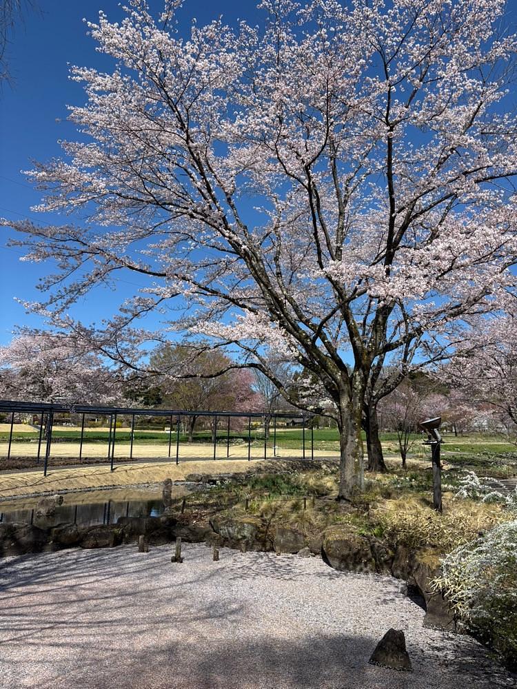 それなはとけさんが投稿した中之条ガーデンズに関する口コミの画像