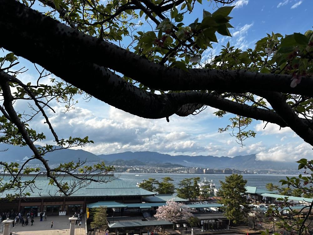 luckyさんが投稿した宮島桟橋に関する口コミの画像
