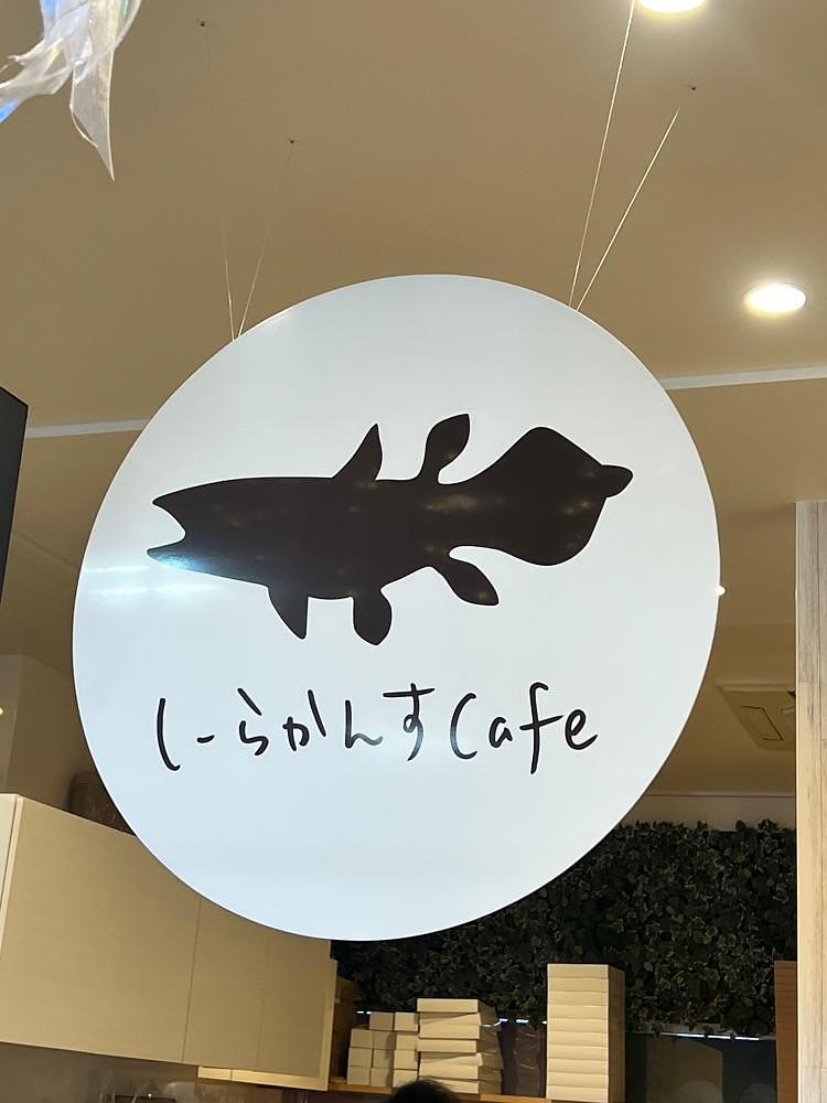 🤎アイヒンまま🤎さんが投稿したしーらかんすCafe 沼津・みなと新鮮館に関する口コミの画像