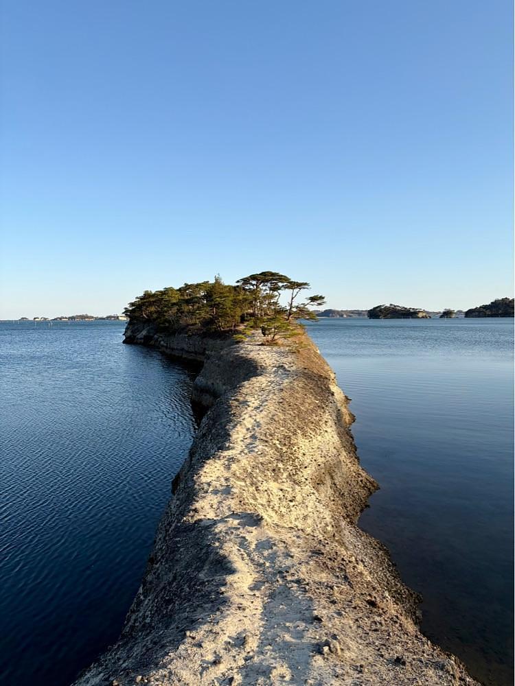 げんざんうみさとさんが投稿した馬の背に関する口コミの画像