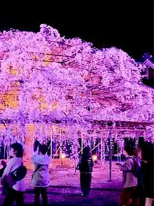 天理教教会本部（神殿）