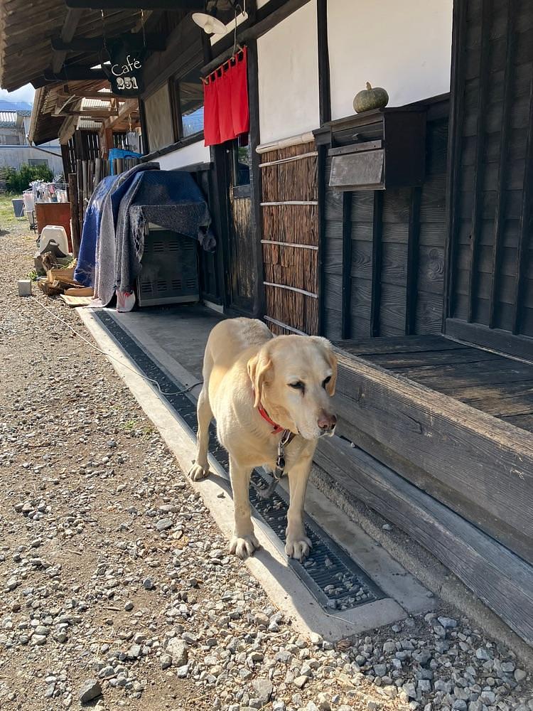 Nさんが投稿したPapa’s cafe 251に関する口コミの画像