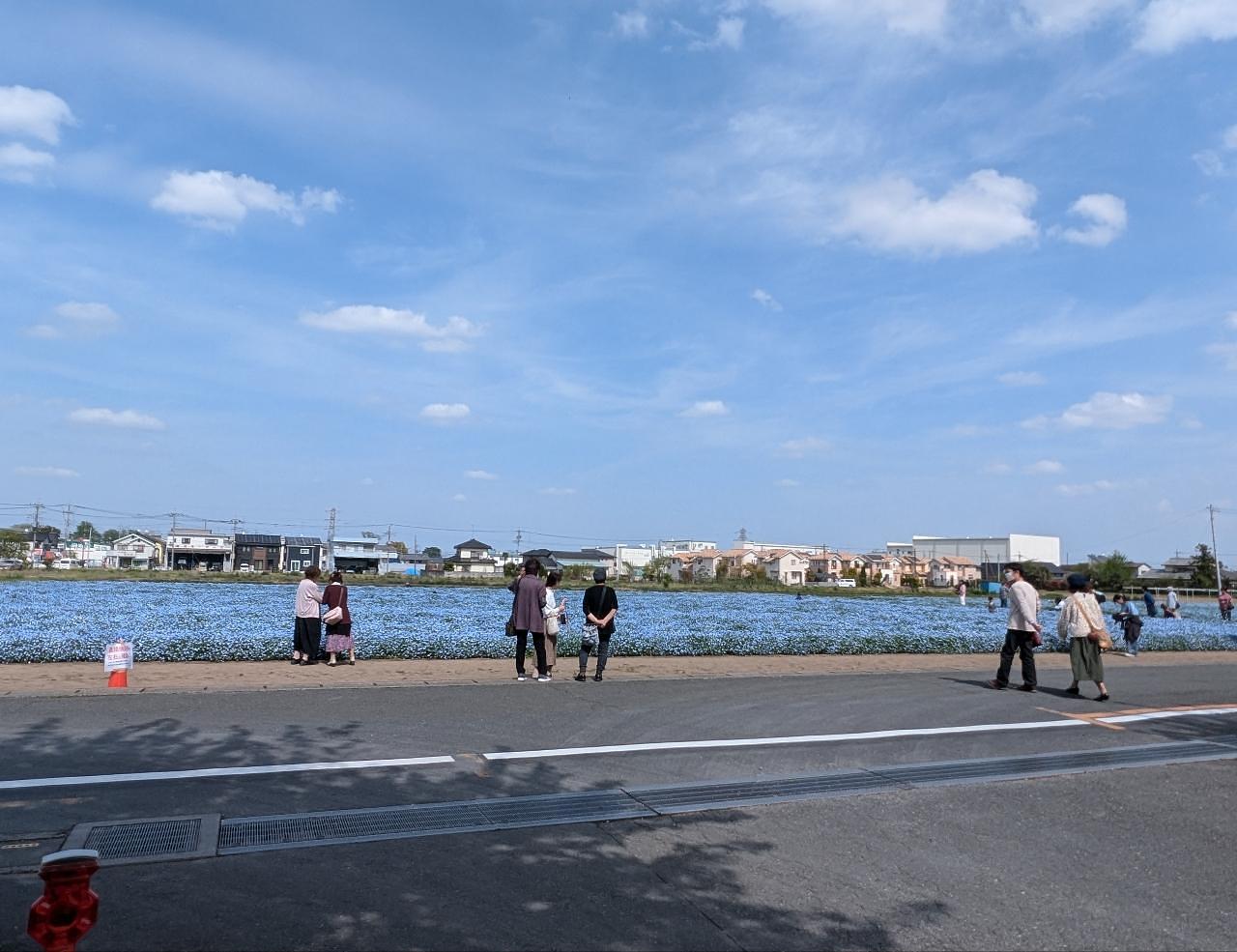 Pさんが投稿した桜国屋に関する口コミの画像