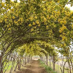 県立羽生水郷公園
