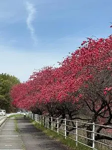 くるみ亭