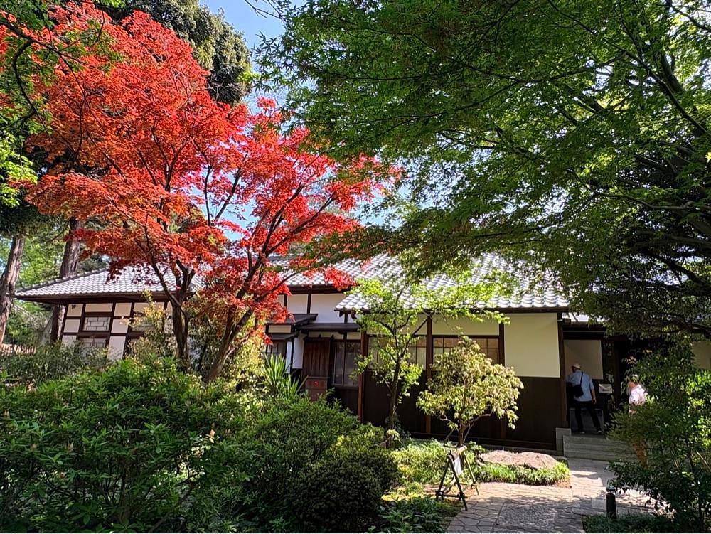active34さんが投稿した荻外荘展示棟に関する口コミの画像