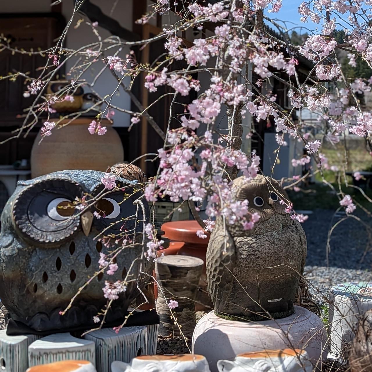 ぬっくさんが投稿した山上陶器に関する口コミの画像