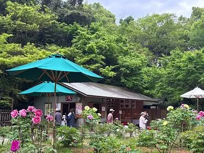 清水山ぼたん園