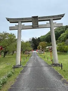 藤公園の藤