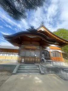 雲上殿の桜