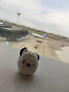 ANA スイートラウンジ 伊丹空港 国内線（ANA SUITE LOUNGE）