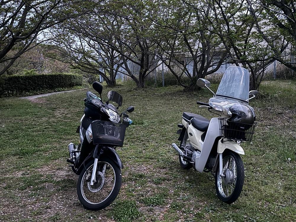 special_tourism_199dさんが投稿したうどん酒房 ちから（うどんしゅぼう ちから）に関する口コミの画像