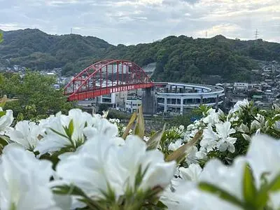 音戸の瀬戸公園の桜とツツジ