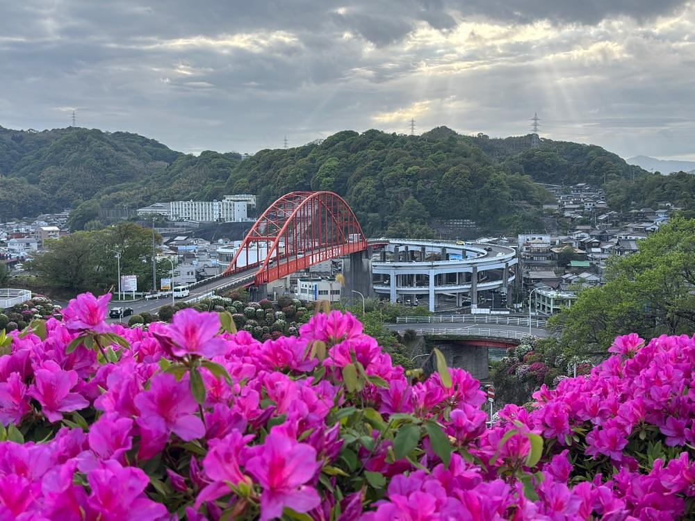 みーなさんが投稿した音戸の瀬戸公園の桜とツツジに関する口コミの画像