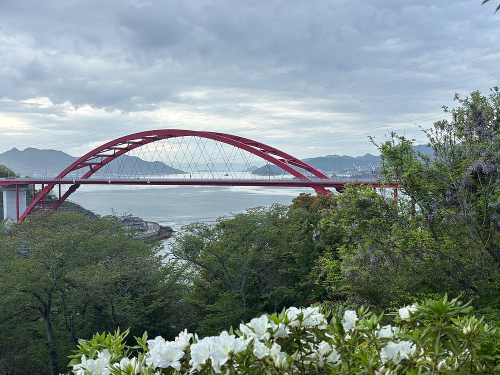 みーなさんが投稿した音戸の瀬戸公園の桜とツツジに関する口コミの画像