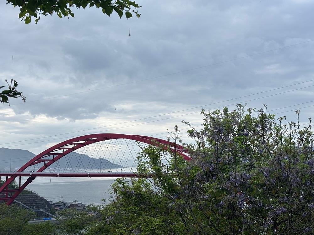 みーなさんが投稿した音戸の瀬戸公園の桜とツツジに関する口コミの画像