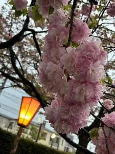 造幣局広島支局