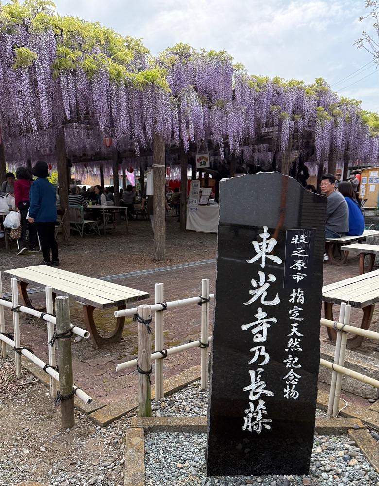hirokororinさんが投稿した東光寺の長藤に関する口コミの画像