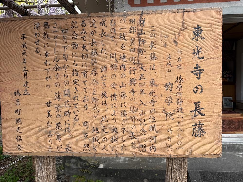 hirokororinさんが投稿した東光寺の長藤に関する口コミの画像
