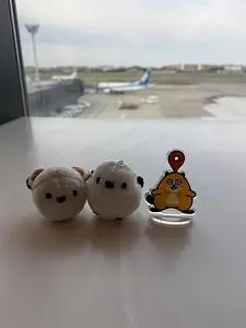 福島空港
