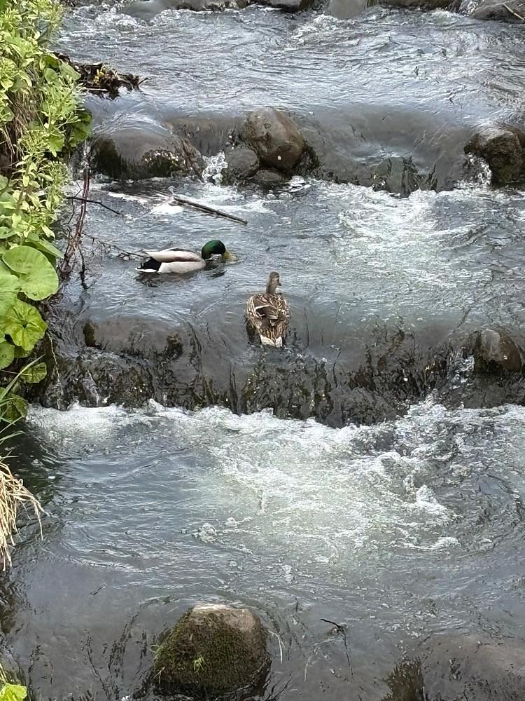 それなはとけさんが投稿した中の島駅に関する口コミの画像