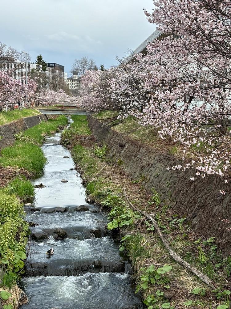 それなはとけさんが投稿した中の島駅に関する口コミの画像