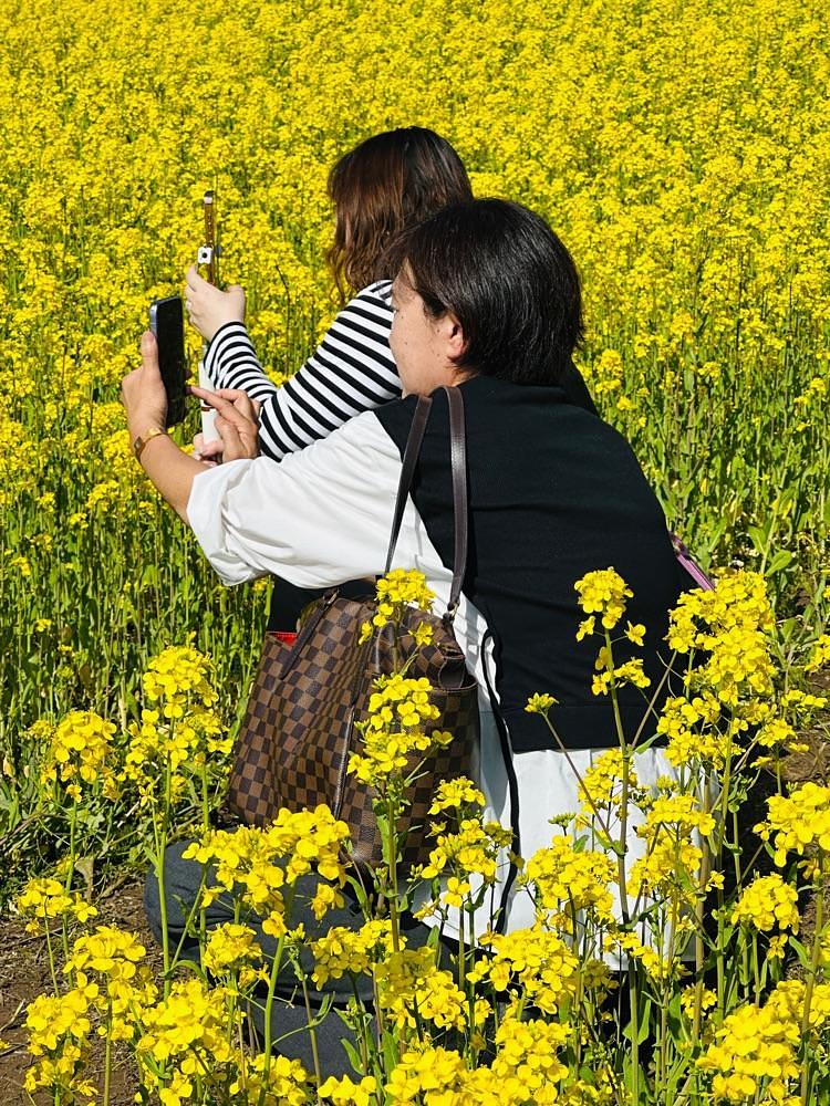 かめ_メグミさんが投稿したホテルリステル猪苗代　本館コンドミニアム　に関する口コミの画像