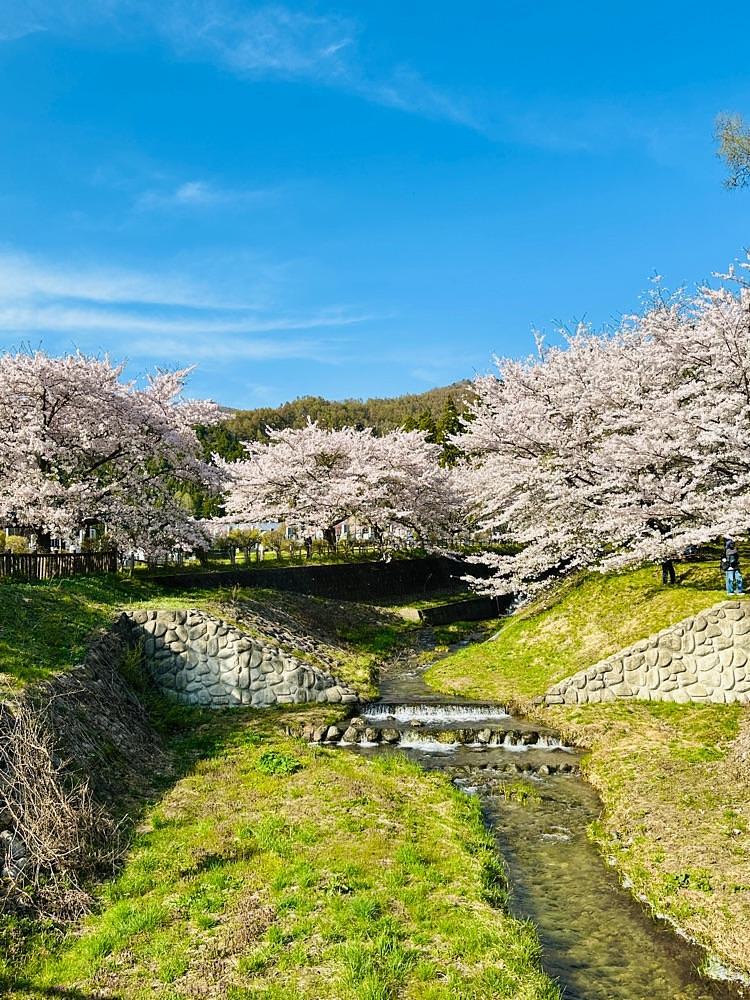 かめ_メグミさんが投稿した観音寺（福島県猪苗代町）に関する口コミの画像