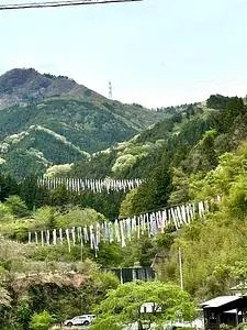 琴平山公園