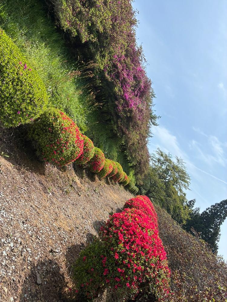 うーとらマンさんが投稿した弥高山公園に関する口コミの画像
