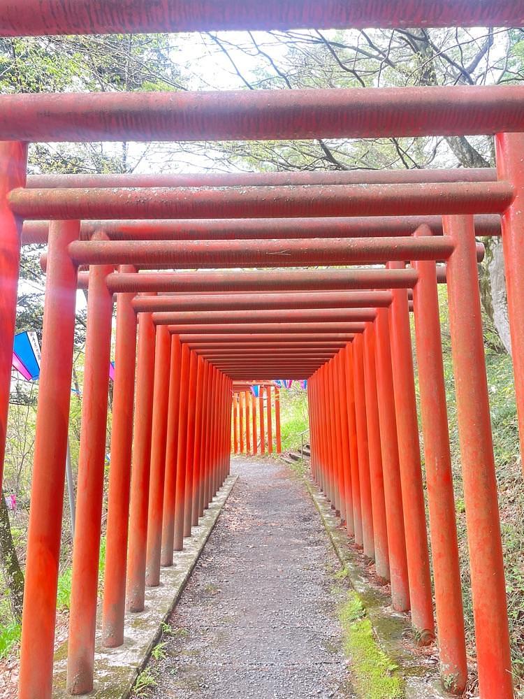 nostalgic_hiking_bca8さんが投稿した稲荷山公園に関する口コミの画像