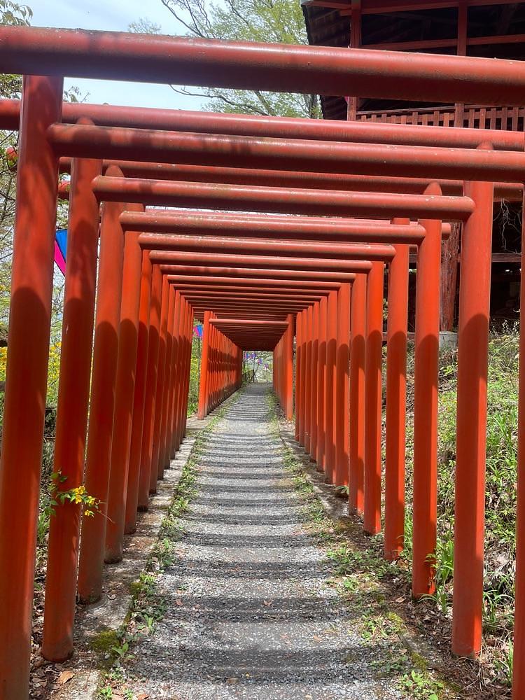 nostalgic_hiking_bca8さんが投稿した稲荷山公園に関する口コミの画像